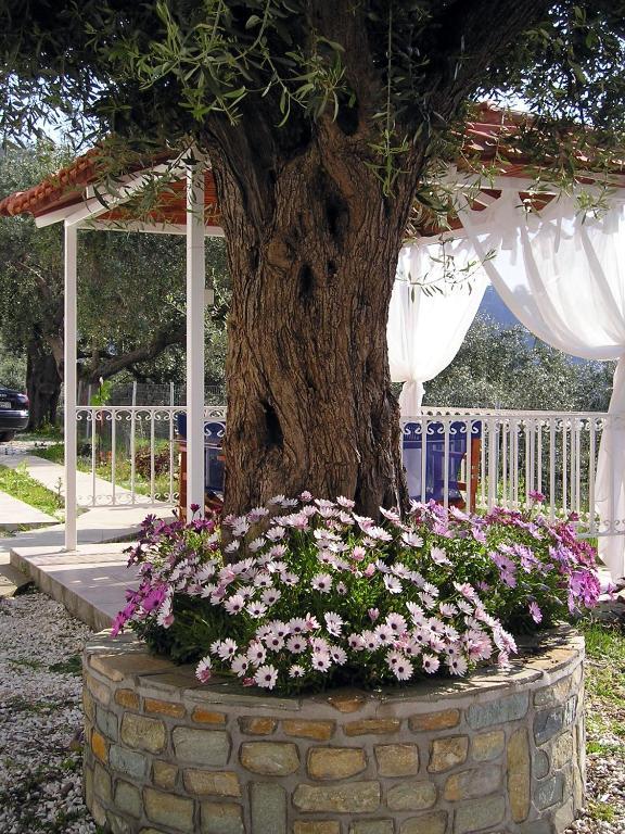 Golden Beach Inn Chrysi Ammoudia Bilik gambar